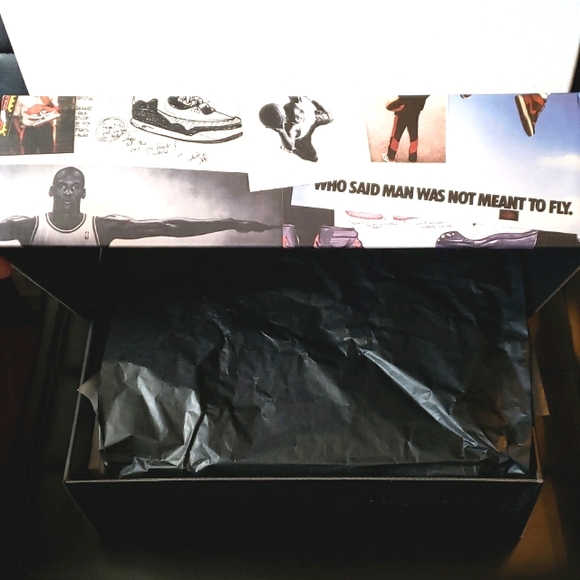Air Jordan Retro 3 SE "Animal Instinct" Size 10 OG Box - Picture 10 of 11